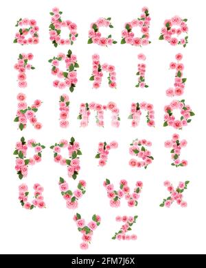 English alphabet made of beautiful rose flowers on white background Stock Photo