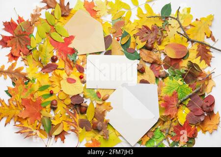 Envelopes and autumn leaves on white background Stock Photo