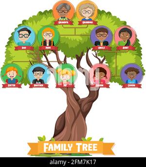 Diagram showing three generation family tree illustration Stock Vector