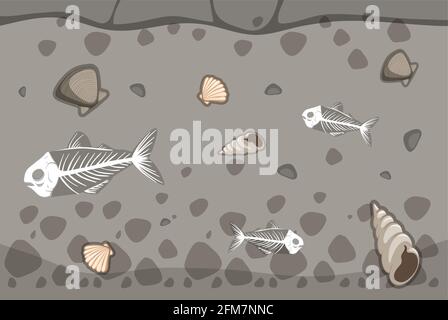 Underground soil with fishbone and seashell fossils  illustration Stock Vector