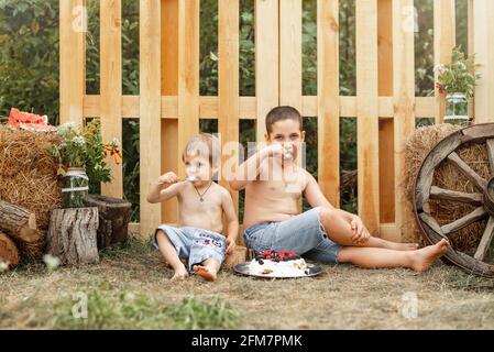 Adorable brothers camping in nature. Kids resting together Stock Photo