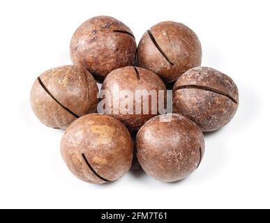 few sawn whole macadamia nuts closeup on white background Stock Photo