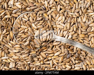 top view of silver tablespoon in milk thistle seeds closeup Stock Photo