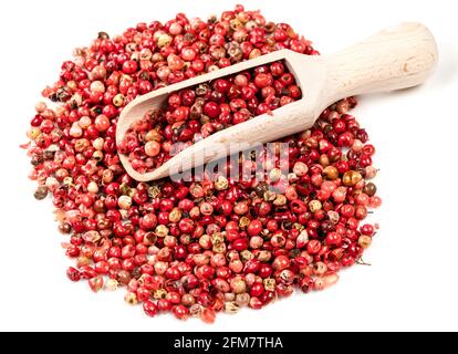 wood scoop on pile of pink peppercorns (Baie rose) on white background Stock Photo