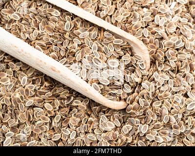 wooden scoop on pile of dill seeds closeup Stock Photo