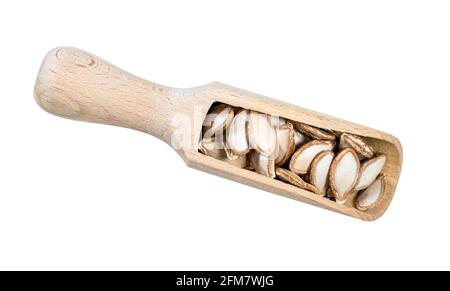 top view of unhusked Pumpkin seeds in wooden scoop cutout on white background Stock Photo