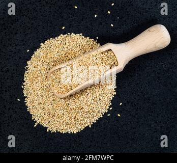 top view of wood scoop on pile of unhulled foxtail millet seeds on black plate Stock Photo