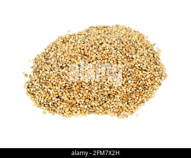 handful of unhulled foxtail millet (setaria italica) seeds closeup on white background Stock Photo