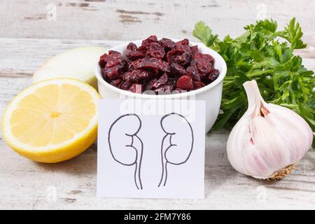 Enzymes-containing Food Groups Healthy Products Containing Stock Vector  (Royalty Free) 2236647009 | Shutterstock