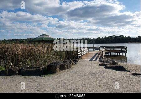 A viewing platform at Lillydale Lake. The lake is named after the Shire Of Lillydale, which had a double 'L', unlike the town, spelt with a single 'L' Stock Photo