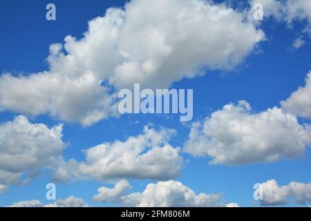 The blue sky with white clouds background.  White cumulus clouds in a blue sky. Stock Photo