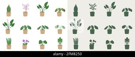 Set of indoor plants in a flat style and silhouettes. Vector illustration of flowers in pots. Stock Vector