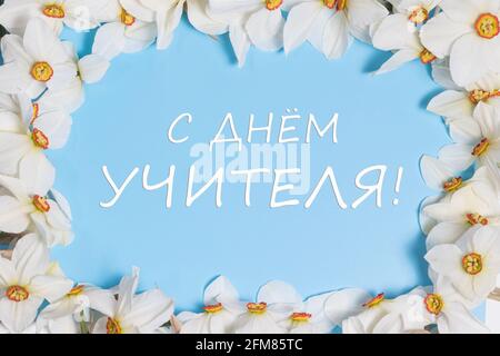 Horizontal banner with white daffodils flowers on a blue background with the inscription in Russian Teacher's Day Stock Photo