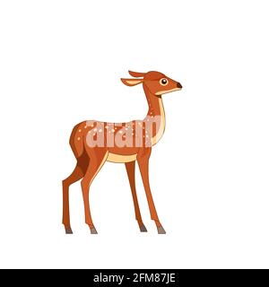 Roe deer isolated on white background. Side view. Cartoon vector flat style illustration Stock Vector