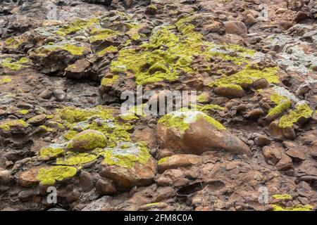 Rock of small smooth stones covered with green moss and lichen. Horizontal image. Stock Photo