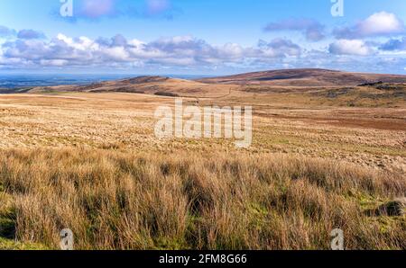 View towards Belstone Tor and Cosdon Hill across the broad valley of the East Okement River in the north of Dartmoor National Park, Devon, England, UK Stock Photo