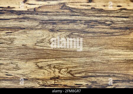 Texture of elegant contemporary Black Ofram natural veneer with abstract beige and brown patterns as background extreme closeup Stock Photo