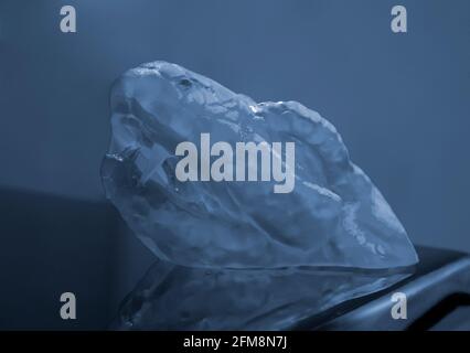 Objects photopolymer printed on a 3d printer. Stock Photo
