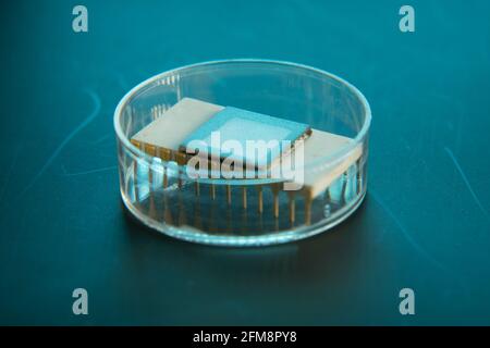 Samples of semiconductor microcircuits in the semiconductor electronics ...