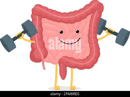 Cute cartoon healthy intestines character with dumbbells. Abdominal cavity digestive and excretion human internal organ. Small and colon intestine with duodenum rectum and appendix vector illustration Stock Vector