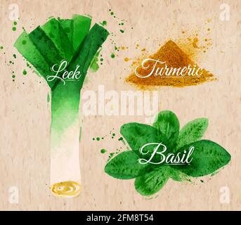 Spices herbs set drawn watercolor blots and stains with a spray leeks, basil, turmeric on kraft paper Stock Vector