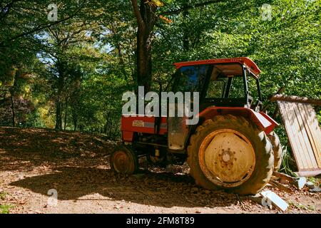 Forestry tractor or forestry tractor for harvesting wood in the forest. Stock Photo