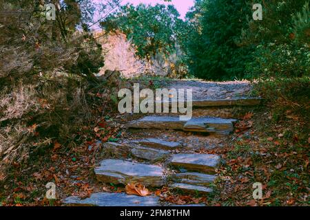 Natural stone stairs at a forest, autumn time. Stock Photo