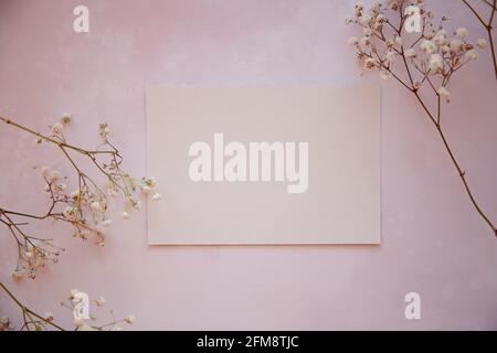 Vintage greeting card mock up on pink background. Gypsophila flowers decor. View from above. Mothers day congratulations concept. Copy space Stock Photo
