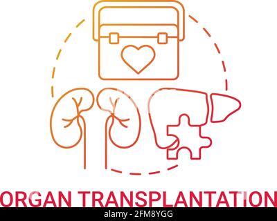 Organ transplantation red gradient concept icon Stock Vector