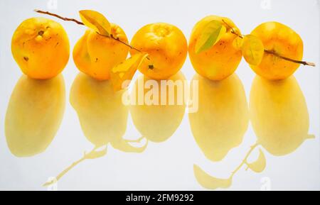 Golden apples with shadow on white background Stock Photo