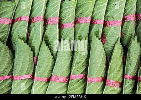 Perilla leaves in the market Stock Photo