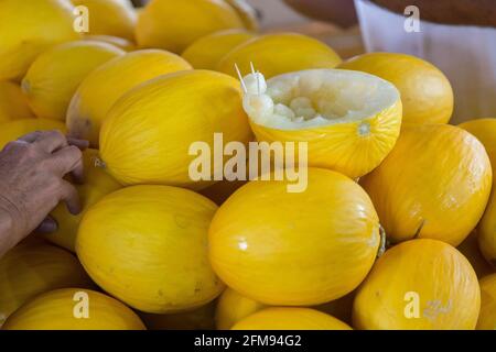 Yellow melons at the market Stock Photo