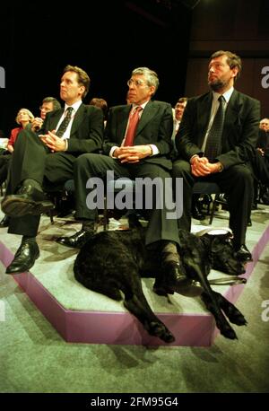 Labour Party Conference Jack Straw and David Blunkett 1999David Blunketts guide dog  Lucy asleep at her master feet during the Labour Party conference does not leave Home Secretary Jack Straw much leg room Stock Photo
