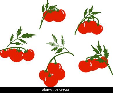 tomato background. set on the theme of vegetables. Red tomatoes on a white background. Kitchen textiles design. Summer logo. Stock Vector