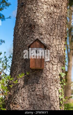 Wooden Nest Box On A Tree Stock Photo