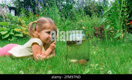 An inquisitive girl looks through a magnifying glass while lying on the lawn. How to make an aquarium from a glass jar yourself. Outdoor science fun i Stock Photo