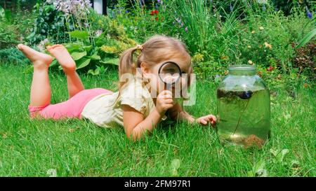 A cute little girl looks through a magnifying glass and smiles. Young researcher of nature and the environment. DIY aquarium from glass jar. Outdoor s Stock Photo