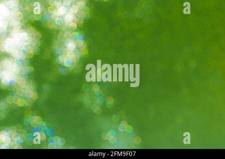 Beautiful green nature background with blurred trees, nice bokeh and empty space for your design Stock Photo
