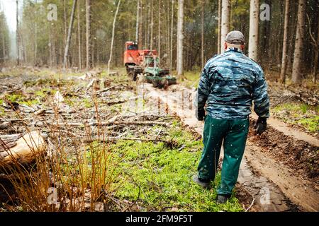 a crawler tractor is driving through a forest clearing. an industrial bulldozer is stuck in the mud. trucks are skidding in the ground Stock Photo