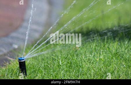 Automatic lawn sprinkler watering green grass and icon of smart farming ...