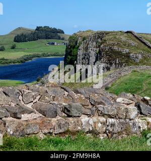 View east from Steel Rigg on Hadrian's Wall, Northumberland National Park, Northumberland, England, United Kingdom Stock Photo