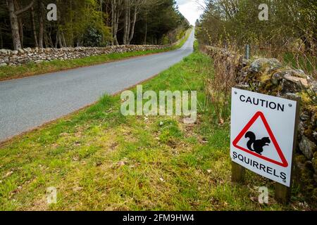 Caution Squirrels warning sign at a rural country road in the UK Stock Photo