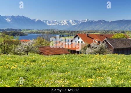 Farm at Riegsee in front of Estergebirge, Wetterstein Mountains and Ammergau Alps, Aidling, Riegsee, Upper Bavaria, Bavaria, Germany Stock Photo