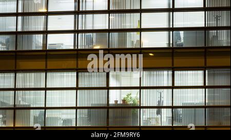 Lights on in empty city office, offices. Stock Photo