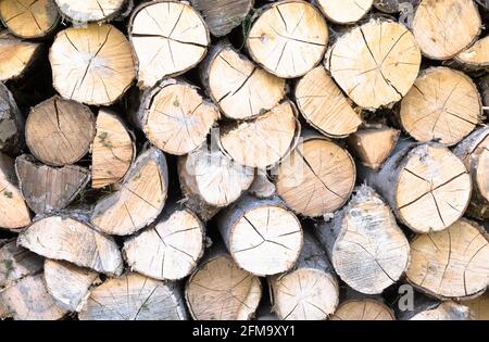 Wood logs stacked up in a pile Stock Photo
