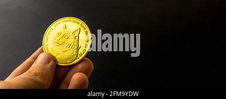 Business crypto currency banner with one golden dogecoin in hand, copy space Stock Photo