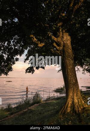 Man swimming in lake, take pictures with his camera Stock Photo - Alamy
