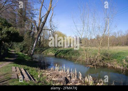 Footpath along the New Reach, Halesworth Millennium Green, Halesworth, Suffolk, England Stock Photo