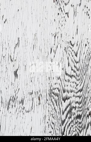 White paint peels off old wood creating patterns of lines and zebra stripes Stock Photo