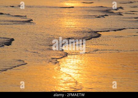 Brighton and Hove beach at low tide. Golden surf at sunset. East Sussex, England Stock Photo